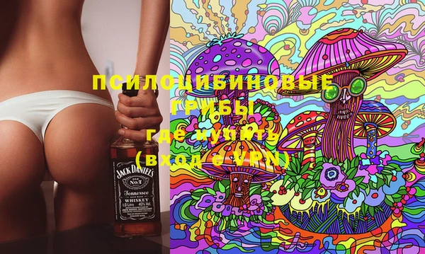 прущая мука Вяземский